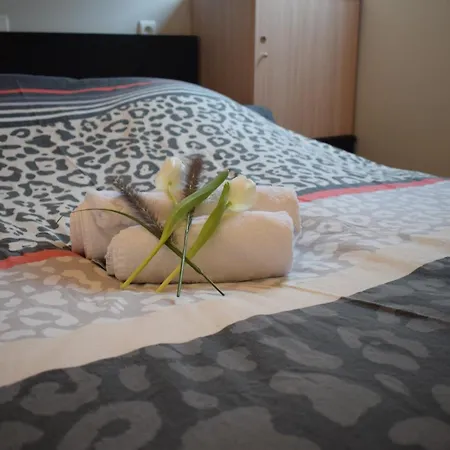 Neoportus B 0401p-2209 * Nieuwpoort