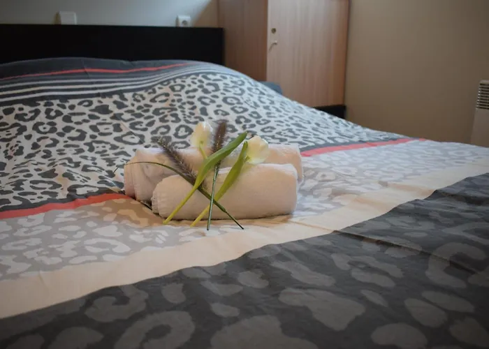 Neoportus B 0401p-2209 * Nieuwpoort